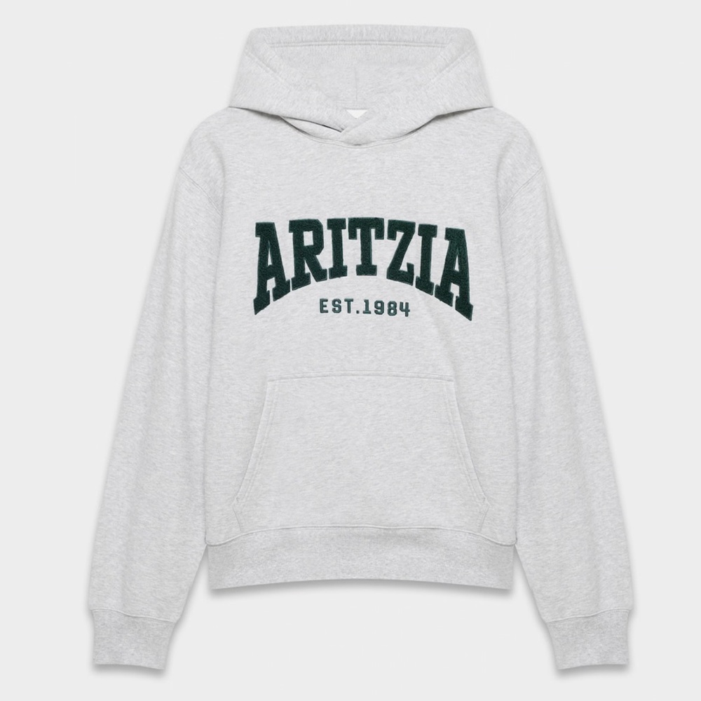 NWT aritzia Cozy Sweatfleece Perfect Hoodie size M